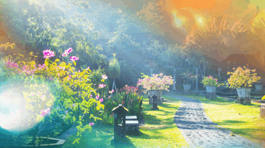 Spring Reset – Why Your Body Isn’t a Machine to Hack